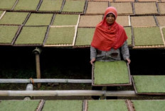 Dewan Pengupahan Sumsel Rampungkan Besaran UMSK 2025 : Berikut Daftar Tiap Kabupaten/Kota !