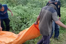 Warga Pakpak Barat Ditemukan Membusuk di Dalam Kebun Karet