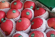 Cara Efektif Hilangkan Pestisida dari Buah agar Aman Dikonsumsi