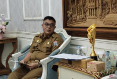 Truk Batu Bara Bandel, Pemprov Sumatera Selatan Siap Cabut Izin