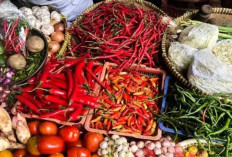 Harga Pangan 24 Juli 2025: Cabai Rawit Rp58.772, Bawang Nerah Rp45.537 per Kilogram !