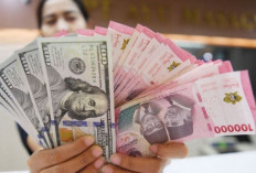 Update ! Kurs Rupiah 16 Agustus 2024 : Melemah 48 Poin Menjadi Rp15.748 per Dolar AS 