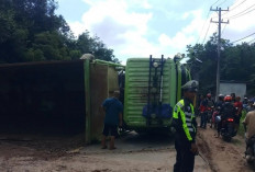 Dumptruk Terguling di Jalintim KM 58 Banyuasin, Begini Kondisi Lalulintas !