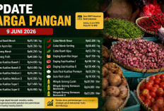 Update Harga Pangan 9 Juni 2026: Cabai Rawit Merah Tembus Rp75.150, Telur Ayam Ras Rp30.350 per Kilogram