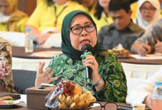 Pekerja Kreatif Butuh Perlindungan Negara