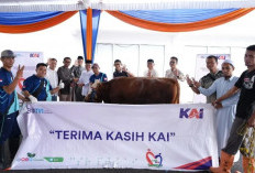 KAI Palembang Salurkan 30 Ekor Hewan Kurban 