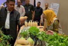 Mulok Kemandirian Pangan Cetak Generasi Mandiri di Sumsel