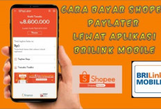 Bayar Shope Pay Later via Brilink Biayanya Terjangkau Bisa Dimana Saja