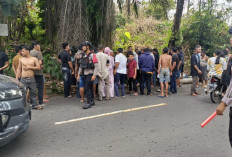 Duka Lebaran di Lubuklinggau: Ibu dan Anak Tewas Dihantam Mobil Pikap ! 