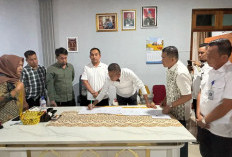 Parkir di Gerai Minimarket Alfamart dan Indomart di Prabumulih Gratis 