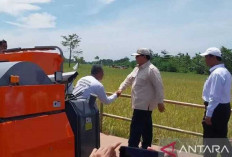 Bisa Dongkrak Semangat Petani
