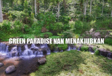 Green Paradise Nan Menakjubkan : Bak Potongan Surga yang Jatuh di Kota Pagaralam Sumatera Selatan !