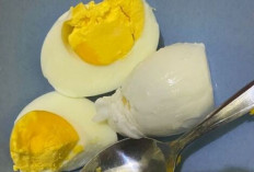 Mitos dan Fakta Tentang Putih dan Kuning Telur: Apa yang Harus Anda Ketahui ?