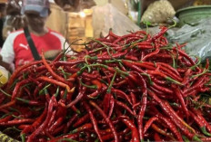 Harga Pangan 7 September 2025: Cabai Rawit dan Bawang Merah Turun, Beras Premium Terkoreksi !