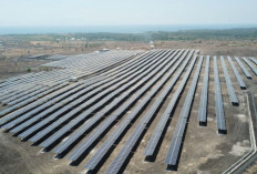 Kontribusi EBT Nasional Lampaui Target, Transisi Energi Indonesia Kian Cepat
