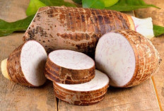 Umbi Talas Ternyata dapat Meningkatkan Kesehatan Kulit dan Anti-Aging