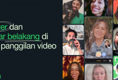 WhatsApp Hadirkan Filter dan Latar Belakang untuk Panggilan Video:  Tingkatkan Pengalaman Lebih Seru !