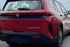 VinFast Limo Green Siap Masuk Indonesia, Tawarkan Desain Futuristik dan Jarak Tempuh 450 Km