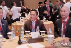 Larang Lintasi Jalan Protokol