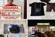 Pelaku Pencurian dengan Modus Mencari Barang Bekas Diamankan di Tungkal Jaya