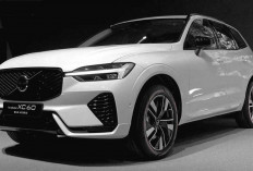 Volvo Bangkit di Pasar Tanah Air, Hadirkan XC60 Mild Hybrid dengan Teknologi Elektrifikasi Modern