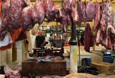 Harga Pangan 3 Februari 2025 : Daging Sapi Tembus Rp143.750/Kg, Cabai Rawit Rp58.700/Kg !