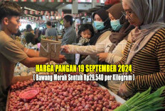 Harga Pangan 19 September 2024 : Bawang Merah Sentuh Rp29.540 per Kilogram !