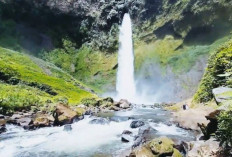 Menembus Hutan, Menyapa Keajaiban: Pesona Alami Air Terjun Bale di Kabupaten Lahat !
