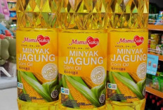 Mengenal Jenis-Jenis Minyak untuk Masakan: Dari Goreng hingga Tumis, Mana yang Terbaik?
