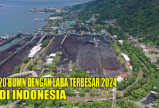 20 BUMN dengan Laba dan Pendapatan Terbesar 2024 : Tidak Ada PT. Bukit Asam Tbk !  