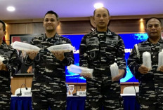 Lanal Palembang Kembali Gagalkan Penyelundupan Benih Lobster Tujuan Singapura dan Vietnam !   