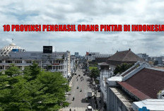 Daftar 10 Provinsi Penghasil Orang Pintar di Indonesia 2024 : Juaranya Bukan Sumatera Selatan !