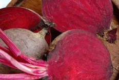 Buah Bit: Si Merah Menggoda yang Kaya Manfaat untuk Kesehatan