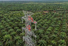 PLN Dorong Interkoneksi ASEAN Power Grid