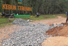 PTPN I Regional 7 Perbaiki Akses Jalan di Banyuasin