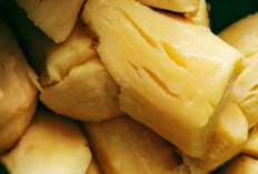 Kreasi Olahan Tape Singkong Semakin Populer, Sajian Tradisional Hadir dalam Beragam Menu Kekinian