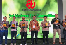 Teh Hitam dan Teh Hijau Produksi PTPN I Regional 7 Raih Penghargaan Nasional