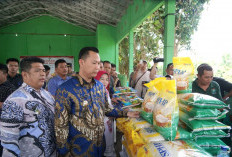 Pj Bupati Imbau Masyarakat Manfaatkan  Lahan Kosong