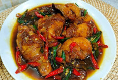 Resep Ayam Kecap Lezat, Gurih, dan Mudah Dibuat