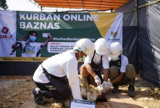 Praktis dan Aman, Ini 5 Tempat Kurban Online Tepercaya untuk Idul Adha 2026