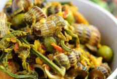 Siput Sedut Gulai Asam : Hidangan Tradisional dengan Cita Rasa Menggugah Selera