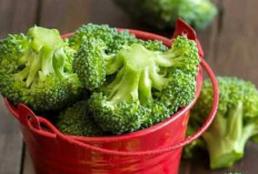 Manfaat Brokoli untuk Kesehatan: Lebih dari Sekadar Sayuran Hijau