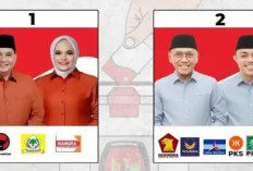 Pilkada Banyuasin 2024 : Slamet-Alfi Menang Dikit di 4 Kecamatan, Askolani-Netta Menang Banyak 17 Kecamatan !