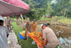 Satpol PP OKI Tertibkan Puluhan PKL yang Berjualan di Pinggir Jalan Protokol 
