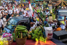 Hari Pangan Sedunia, Bergandengan Tangan Membangun Pangan