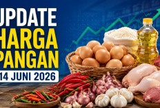 Update Harga Pangan 14 Juni 2026: Telur Ayam Rp30.100, Bawang Merah Tembus Rp55.450 per Kilogram