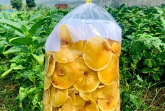 Keripik Sukun: Snack Sehat dan Lezat dari Indonesia