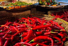 Harga Pangan 21 Agustus 2025: Cabai Rawit Rp47.261, Bawang Merah Rp48.184 per Kilogram !