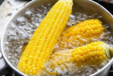 Cegah dan Atasi Batu Empedu dengan Air Rebusan Jagung
