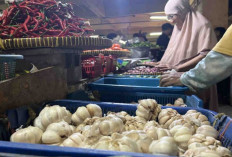 Harga Pangan 7 Desember 2024 : Mengalami Tren Kenaikan, Bawang Putih Naik Rp1.300 Jadi Rp43.200 per Kilogram !